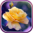 icon Roses Live Wallpaper 1.0.2