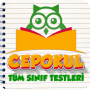 icon com.tumsiniflar_testler.konuanlatimi