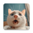 icon Meowing cat sounds 86.0