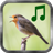 icon Bird Sounds 2.9