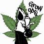 icon Grow Ops Weed Firm Game