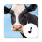 icon Cow Sounds 4.9.2