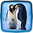 icon Penguin Live Wallpaper 1.2