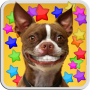 icon DOG SMILES LIVE WALLPAPER