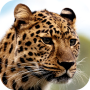 icon Leopard Wallpapers