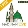 icon Madina Live