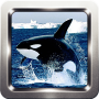 icon Killer Whale Wallpapers