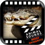 icon Best Dangerous Animals Sounds