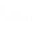 icon FIGAN 2.5.2