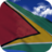 icon Guyana Flag 4.6.0