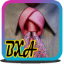 icon DIY Necktie Tutorial