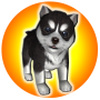 icon PuppyZ virtual dog