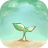 icon Tree 6.667