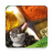 icon Herbal Cure 2.6
