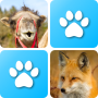 icon Pairs: Animals