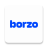 icon Borzo 1.95.0