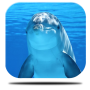 icon Marine Dolphin Live Wallpaper