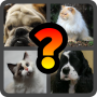 icon Guess the Animal Cat or Dog?