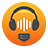 icon Soundwise 4.1.5