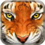 icon Tiger Simulator 3D Wildlife