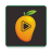 icon Mango vid 3.0
