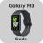 icon Samsung Galaxy Fit3 Guide 1