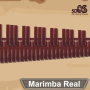 icon Marimba, Xylophone, Vibraphone Real