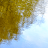 icon com.piedlove.spring.river.reflection.stream 1.8.6