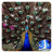 icon 3D Peacocks Live Wallpaper 29.0