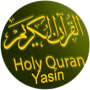 icon Surah Yasin & Terjemahan