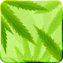 icon MaryJane Free Live Wallpaper