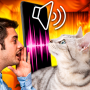 icon Cat Translator