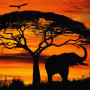 icon african sunset live wallpaper