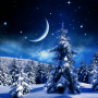 icon Winter Night Live Wallpaper