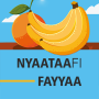 icon Nyaataafi Fayyaa