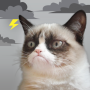 icon Grumpy Cat Weather