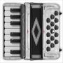 icon Accordion Piano Cassoto Game