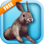 icon BunnySimulator 