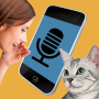 icon Human to Cat Translator - Meow