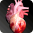 icon Circulatory System in 3D Anatomy 1.85