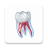 icon Dental Illustrations 2.0.78