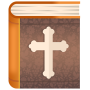 icon Study Bible for young people