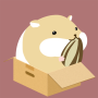 icon Ham Race