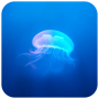 icon jellyfish
