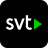 icon SVT Play 12.0.6