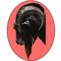 icon Glock - Free Widget Goat Clock