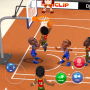 icon Mini Basketball