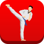 icon Taekwondo Workout