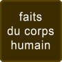 icon Faits Corps Humain