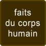 icon faitscorpshumain